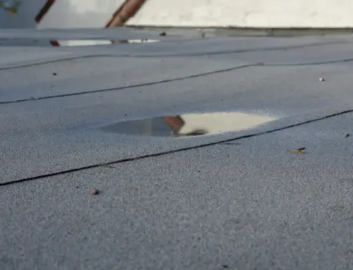 Flat Roof Drainage Solutions to Prevent Water Damage This Summer